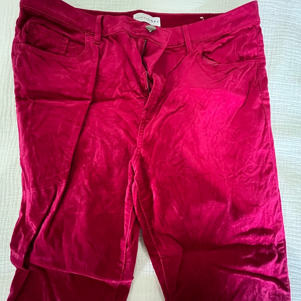 LOFT, velvet hot pink pants, Size 14